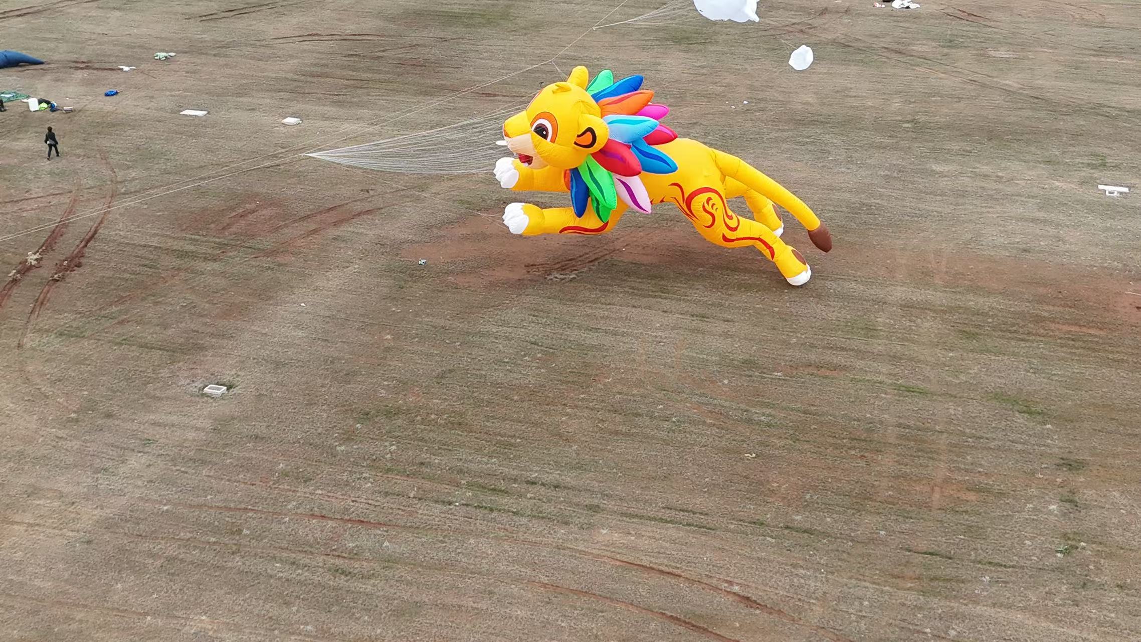张掖市品牌风筝定制风筝商业放飞 - 方案