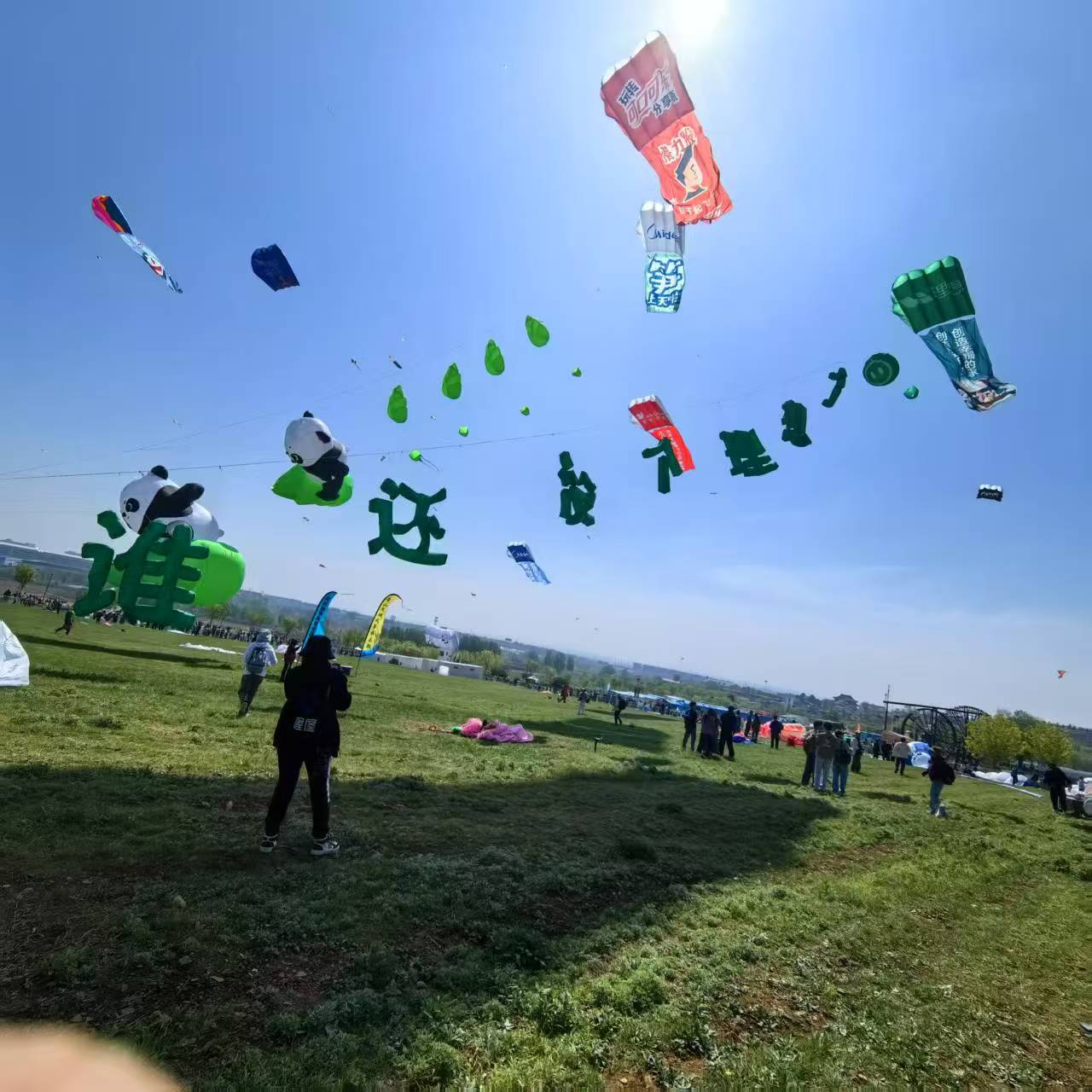 张掖市风筝批发风筝定制 - 排名